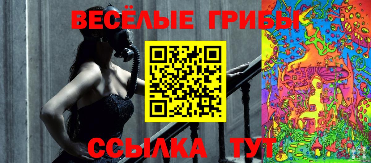 Псилоцибиновые грибы Psilocybine cubensis Кумертау